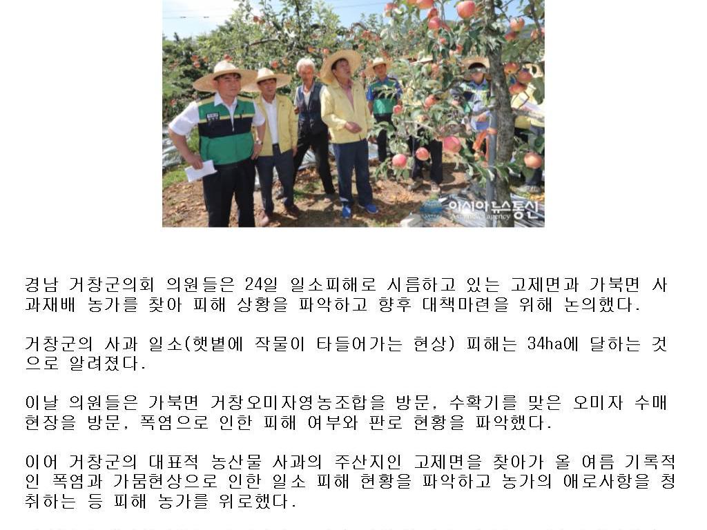 <P>폭염 피해 현장(가북면 거창오미자영농법인, 고제면 사과 농가 2개소)</P>