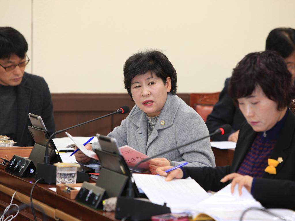제206회 정례회 예산안 심의